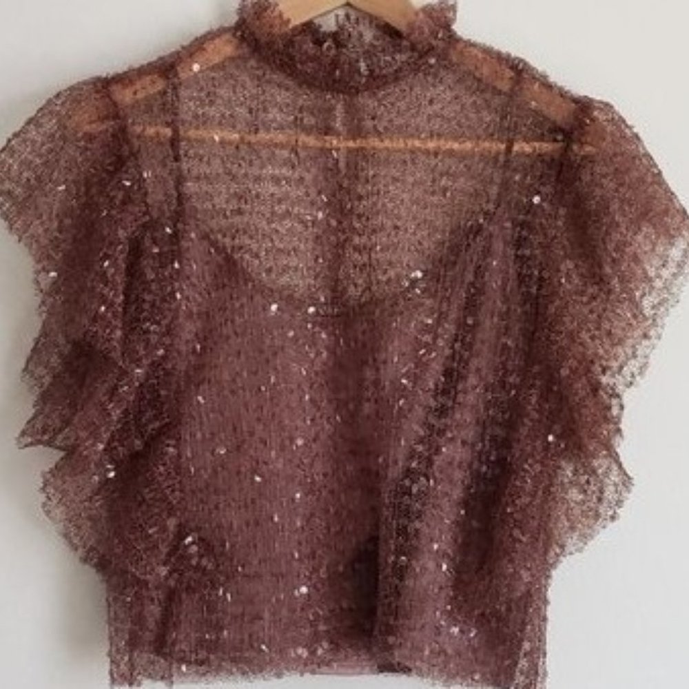 Zara Angel Ruffle Sequin Sheer/Mesh Dark Blush Pink Top - Taylor Swift Concert